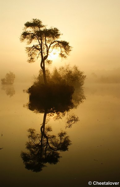 _DSC0067.JPG - Zonsopkomst aan de Oisterwijkse Vennen 'het Groot Goorven' 2 oktober 2011