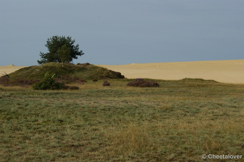 _DSC0004.JPG - Park de Hoge Veluwe 16 september 2011