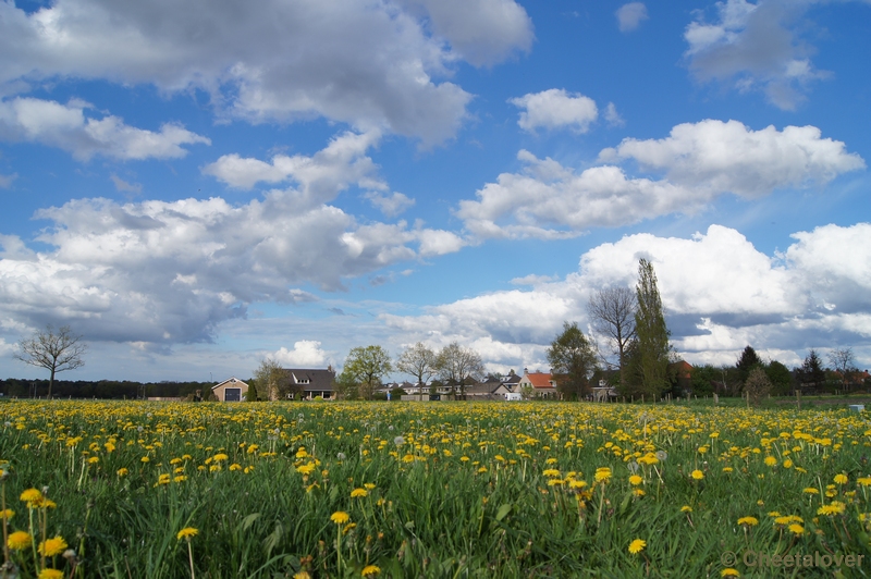 DSC05217.JPG - Hollandse lucht