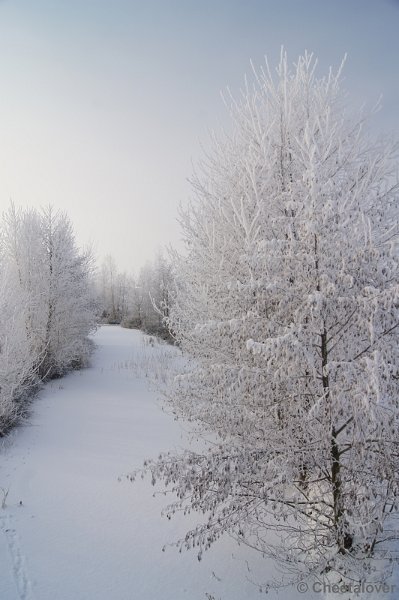 DSC01553.JPG - Winter in de Dongevallei, Reeshof, Tilburg