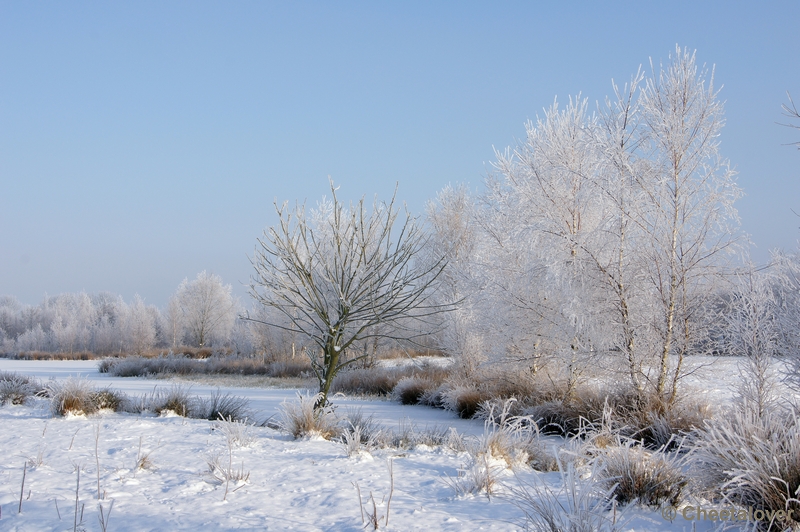 DSC01594.JPG - Winter in de Dongevallei, Reeshof, Tilburg