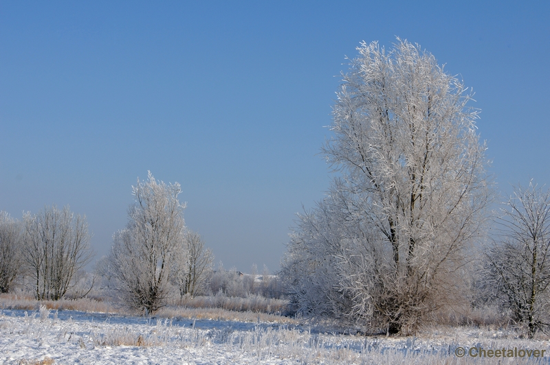 DSC01644.JPG - Winter in de Dongevallei, Reeshof, Tilburg