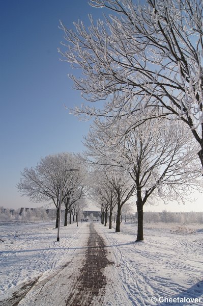 DSC01651.JPG - Winter in de Dongevallei, Reeshof, Tilburg