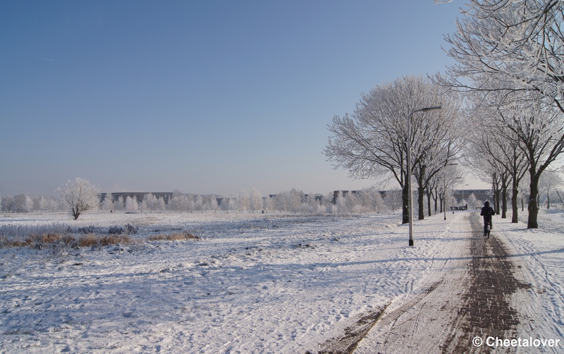 DSC01652.JPG - Winter in de Dongevallei, Reeshof, Tilburg