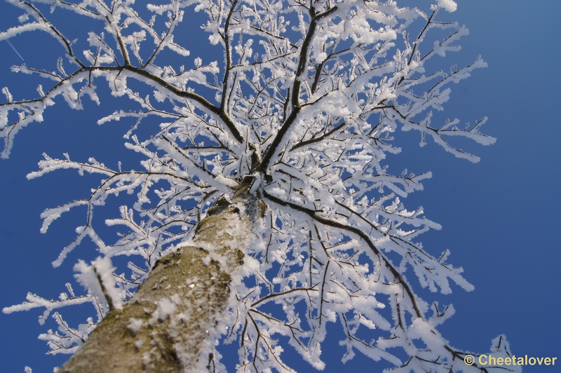 DSC01670.JPG - Winter in de Dongevallei, Reeshof, Tilburg