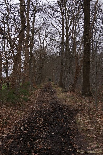 DSC00752.JPG - Dongevallei, Reeshof en omgeving