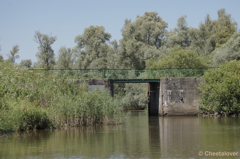 DSC03925.JPG - Boottocht over de Biesbosch