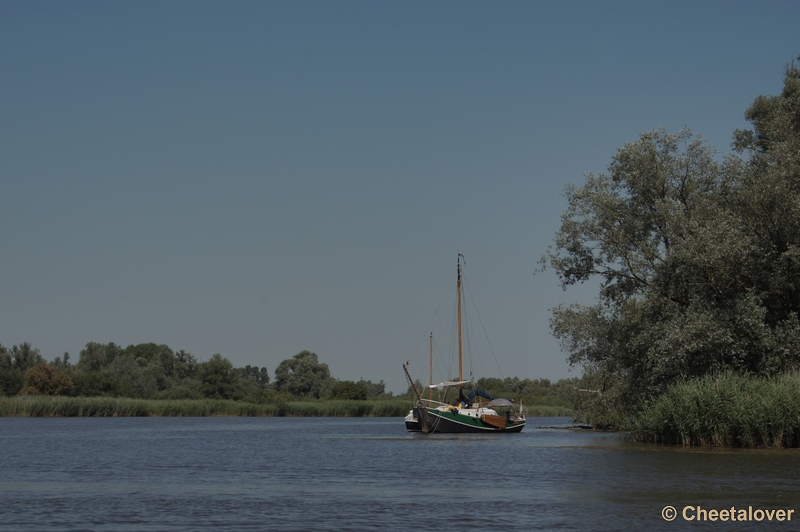 DSC03938.JPG - Boottocht over de Biesbosch