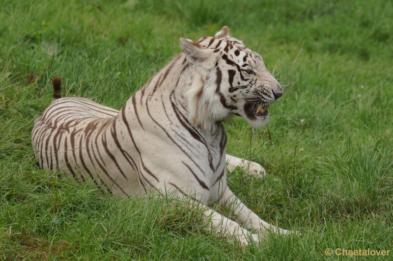 DSC02557.JPG - Olmense Zoo