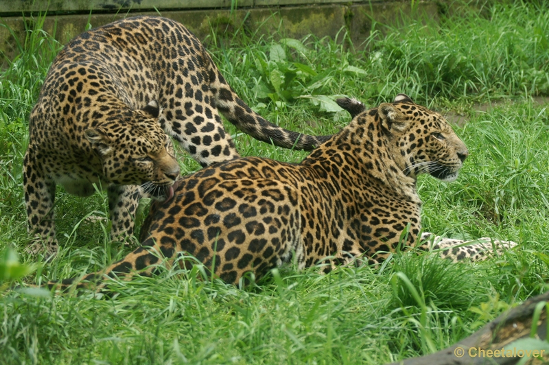 DSC02745.JPG - Olmense Zoo