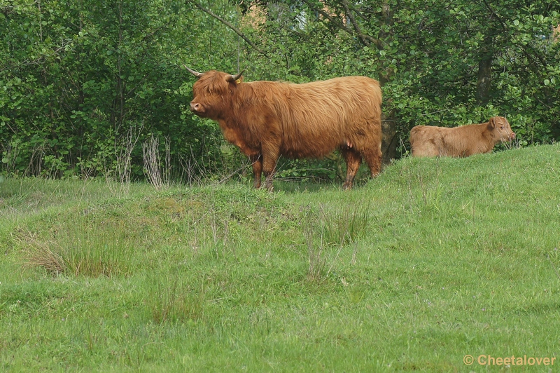 DSC07249.JPG - Natuurgebied De Dongevallei