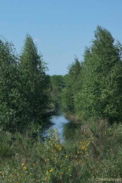 DSC07545.JPG - Natuurgebied De Dongevallei