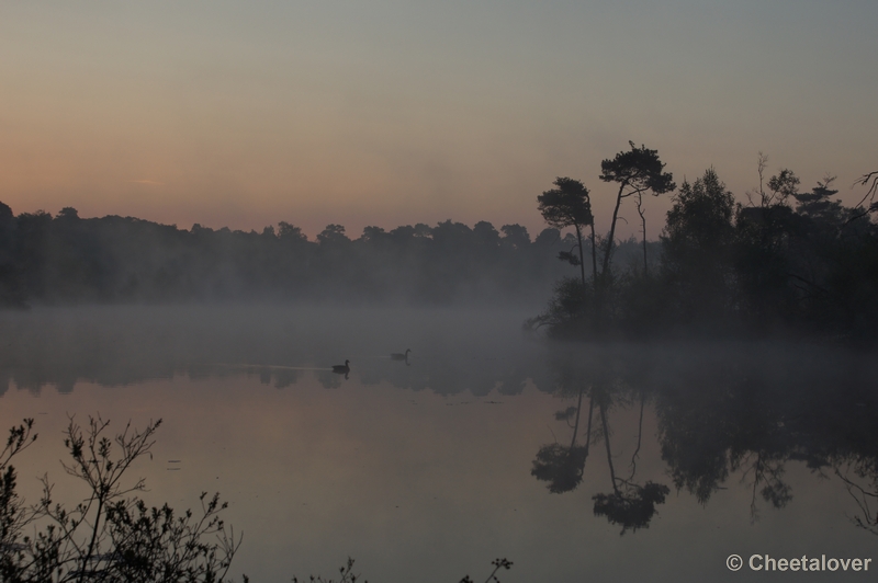 DSC06314.JPG - 17 mei 2012 Zonsopkomst aan de Oisterwijkse Vennen