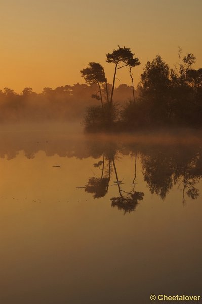 DSC06343.JPG - 17 mei 2012 Zonsopkomst aan de Oisterwijkse Vennen