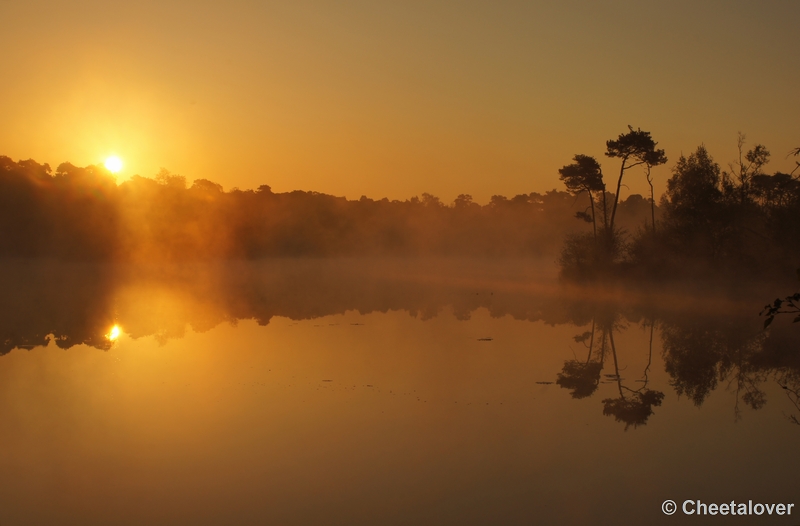 DSC06347.JPG - 17 mei 2012 Zonsopkomst aan de Oisterwijkse Vennen