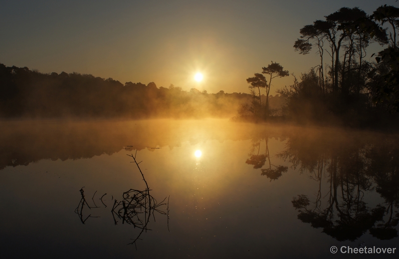 DSC06362.JPG - 17 mei 2012 Zonsopkomst aan de Oisterwijkse Vennen