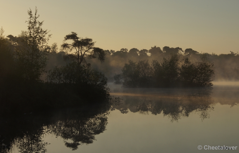 DSC06365.JPG - 17 mei 2012 Zonsopkomst aan de Oisterwijkse Vennen