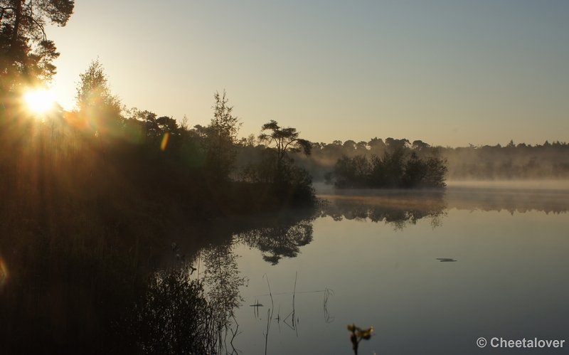 DSC06368.JPG - 17 mei 2012 Zonsopkomst aan de Oisterwijkse Vennen