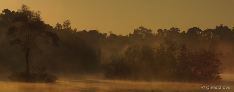 DSC06389kopie.JPG - 17 mei 2012 Zonsopkomst aan de Oisterwijkse Vennen