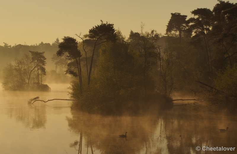 DSC06396.JPG - 17 mei 2012 Zonsopkomst aan de Oisterwijkse Vennen