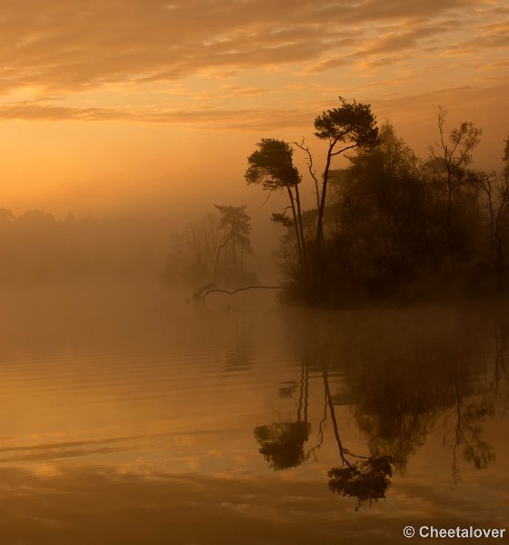 _DSC2188.JPG - Zonsopkomst aan de Oisterwijkse Vennen en Plassen'Voorste Goorven'