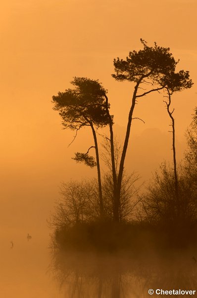 _DSC2209.JPG - Zonsopkomst aan de Oisterwijkse Vennen en Plassen'Voorste Goorven'