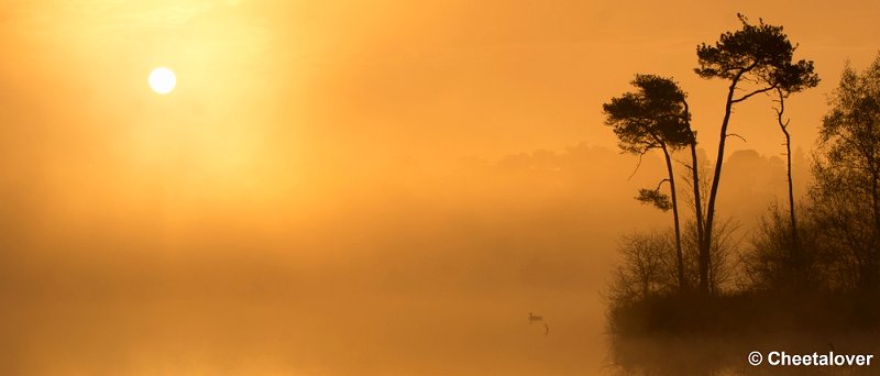 _DSC2213.JPG - Zonsopkomst aan de Oisterwijkse Vennen en Plassen'Voorste Goorven'