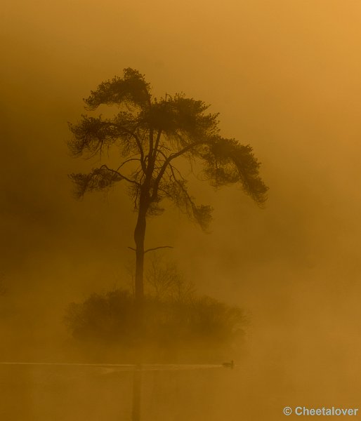 _DSC2251.JPG - Zonsopkomst aan de Oisterwijkse Vennen en Plassen'Voorste Goorven'