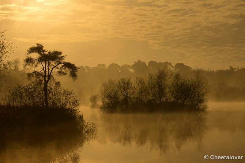 _DSC2258.JPG - Zonsopkomst aan de Oisterwijkse Vennen en Plassen'Voorste Goorven'