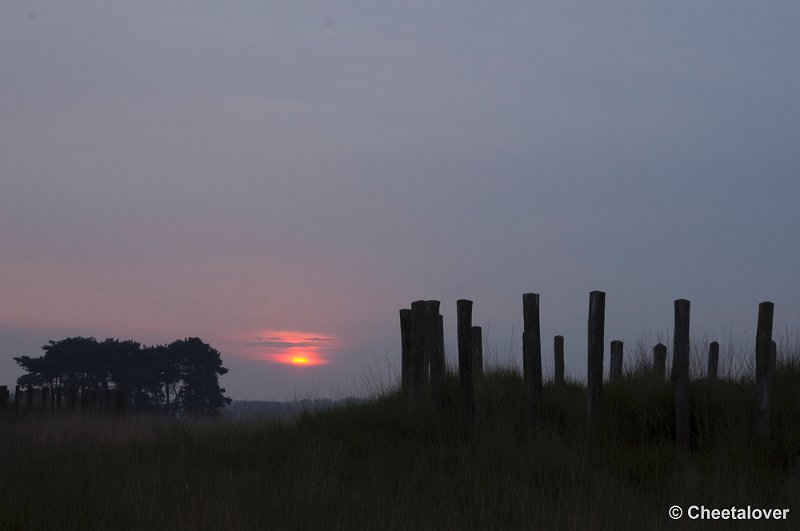 _DSC8473.JPG - Regteheide, Grafheuvels