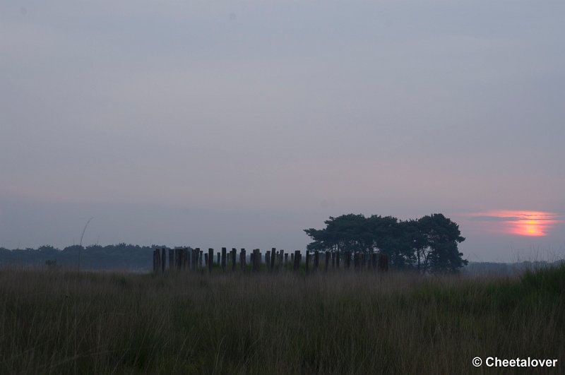 _DSC8476.JPG - Regteheide, Grafheuvels