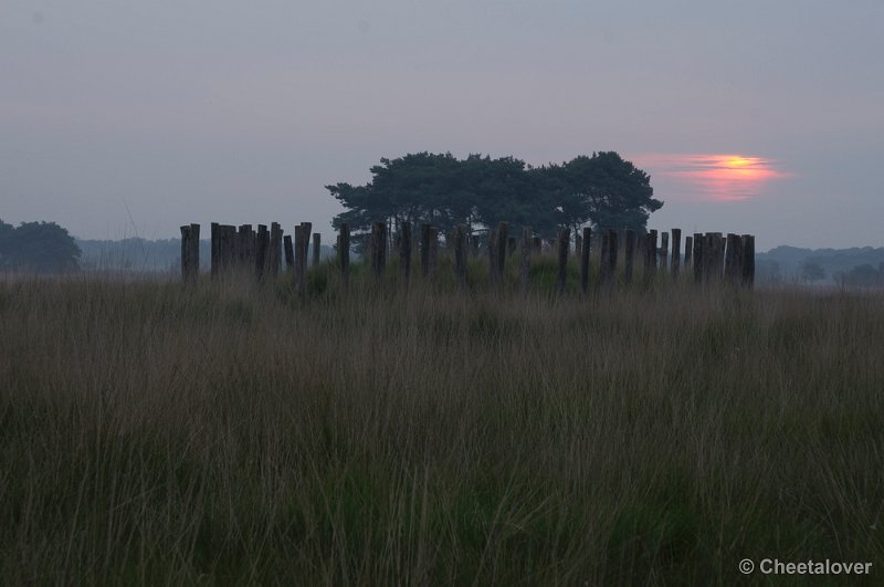 _DSC8478.JPG - Regteheide, Grafheuvels