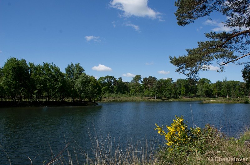 _DSC4854.JPG - Boswachterij Dorst