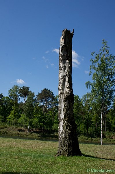 _DSC4856.JPG - Boswachterij Dorst