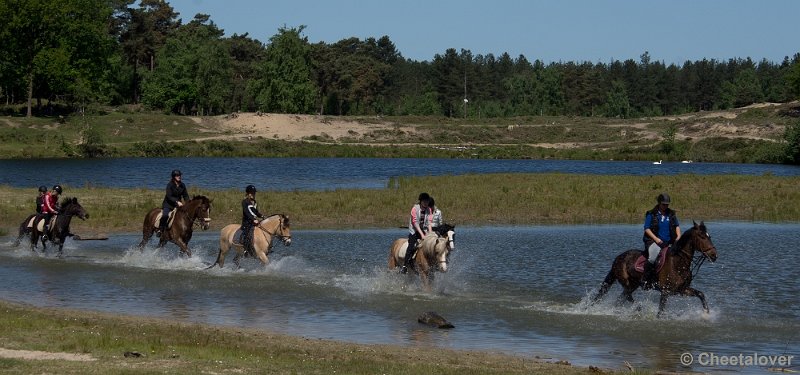 _DSC4875.JPG - Boswachterij Dorst