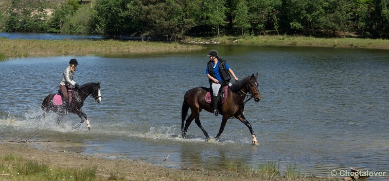 _DSC4877.JPG - Boswachterij Dorst