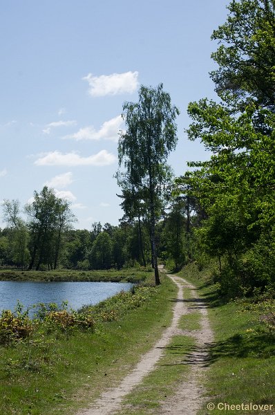 _DSC4920.JPG - Boswachterij Dorst