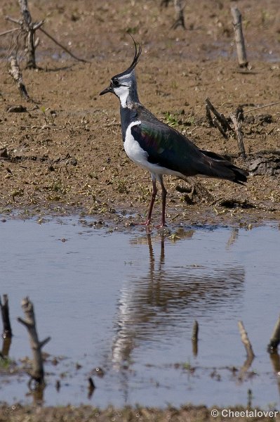 _DSC5017.JPG - Tiengemeeten