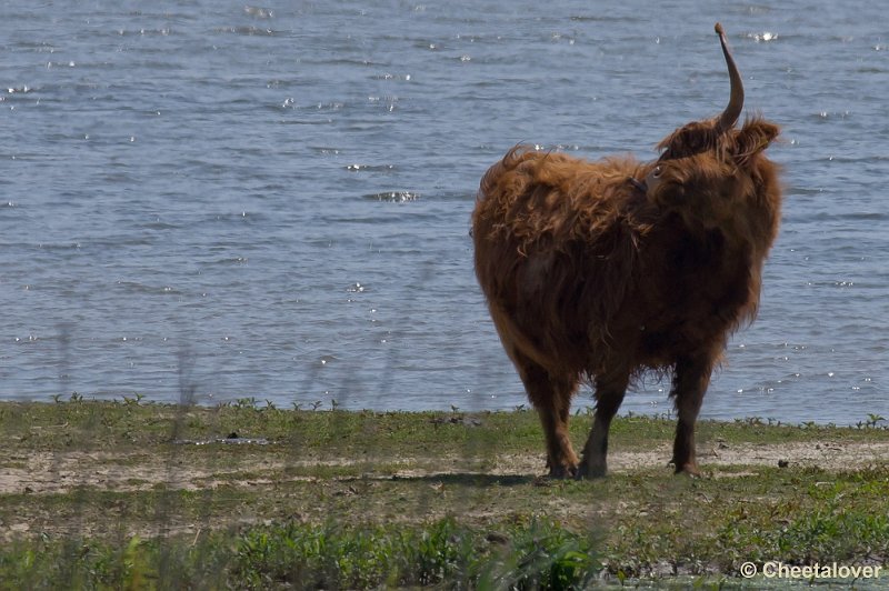 _DSC5028.JPG - Tiengemeeten