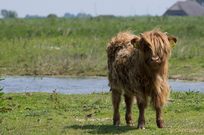 _DSC5073.JPG - Tiengemeeten