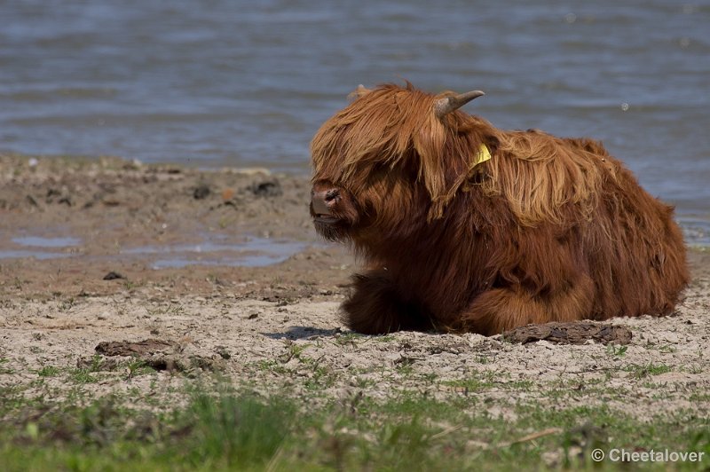 _DSC5076.JPG - Tiengemeeten