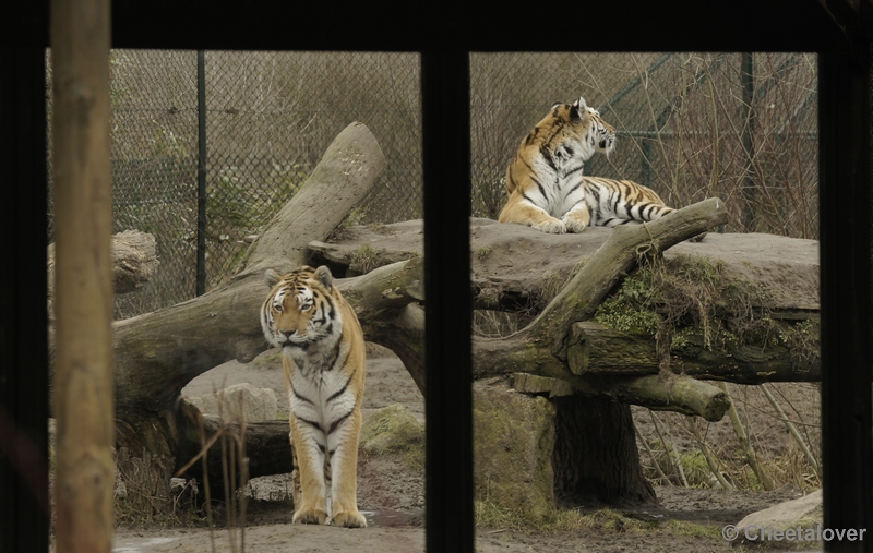 _DSC8695kopie.JPG - Dierenrijk