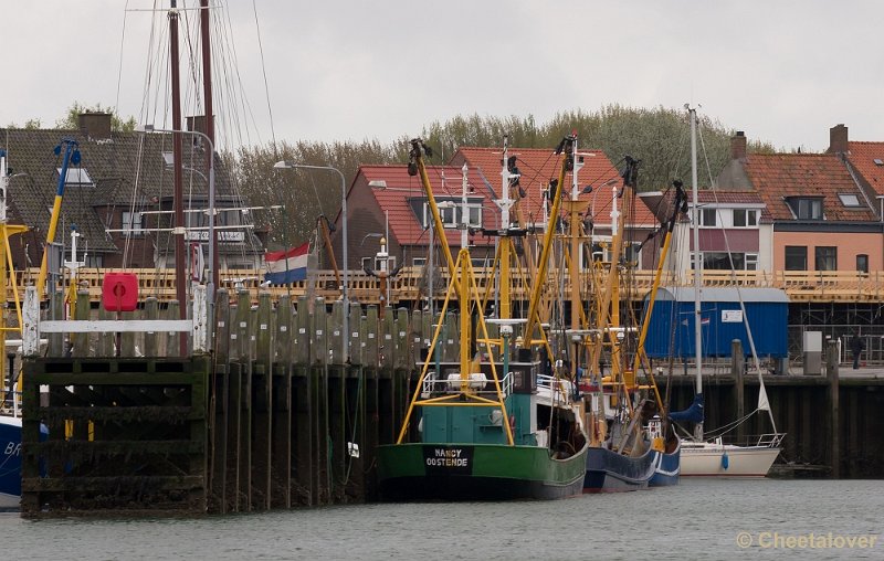 _DSC2925.JPG - Breskens, Zeehonden en Vogels