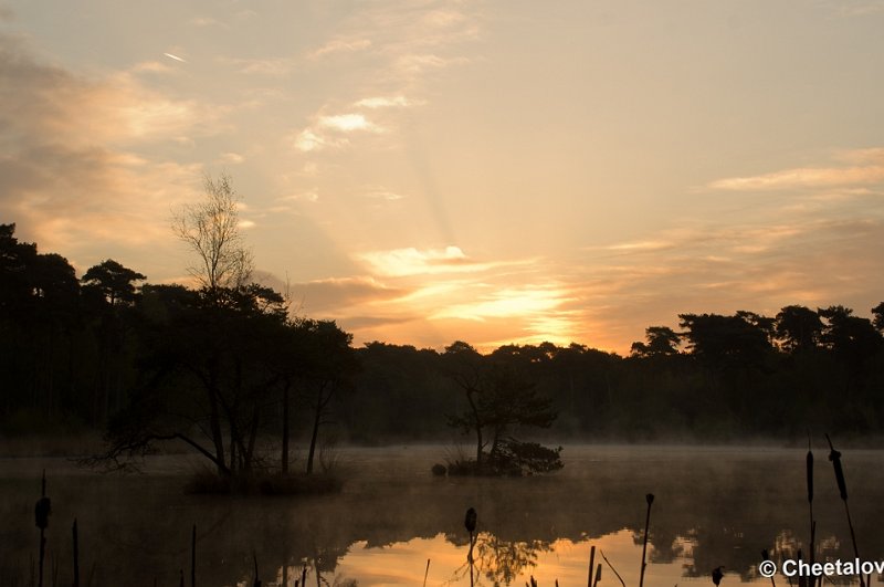 _DSC2299.JPG - Zonsopkomst Oisterwijkse Vennen 'Diaconieven'