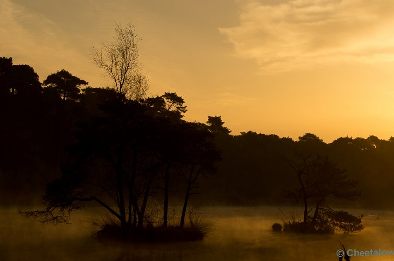 _DSC2337.JPG - Zonsopkomst Oisterwijkse Vennen 'Diaconieven'