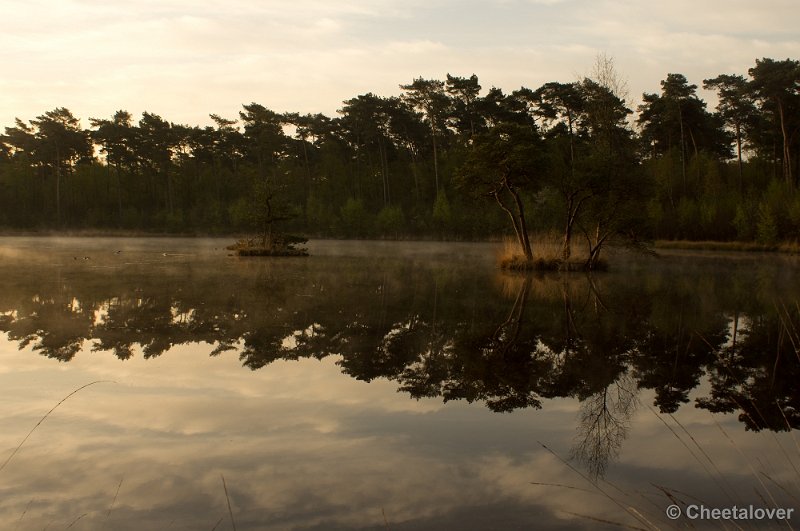 _DSC2344.JPG - Zonsopkomst Oisterwijkse Vennen 'Diaconieven'