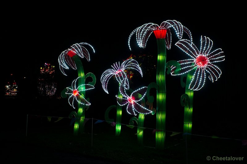 _DSC0999.JPG - Botanische Tuinen Utrecht, China Lights Festival