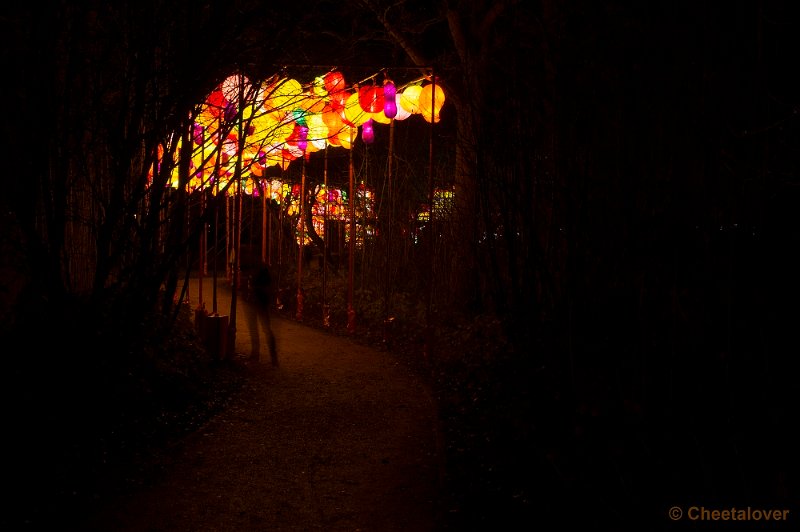 _DSC1139.JPG - Botanische Tuinen Utrecht, China Lights Festival