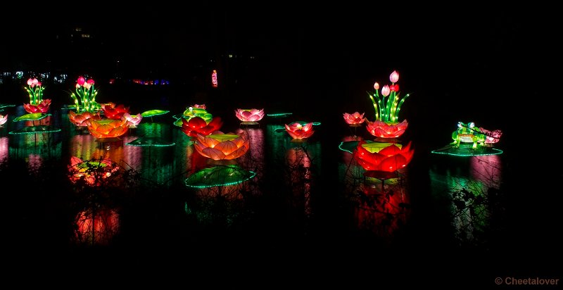 _DSC1147.JPG - Botanische Tuinen Utrecht, China Lights Festival