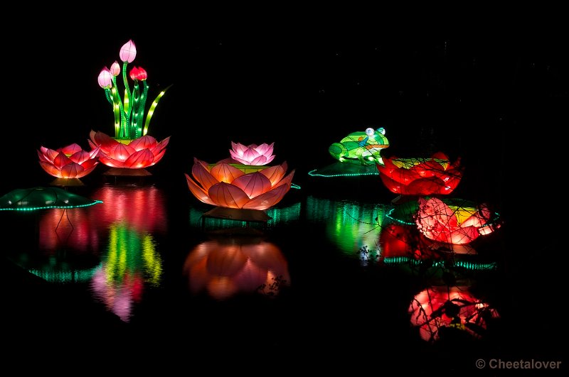 _DSC1153.JPG - Botanische Tuinen Utrecht, China Lights Festival